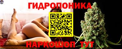 spice Обнинск