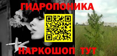 spice Обнинск