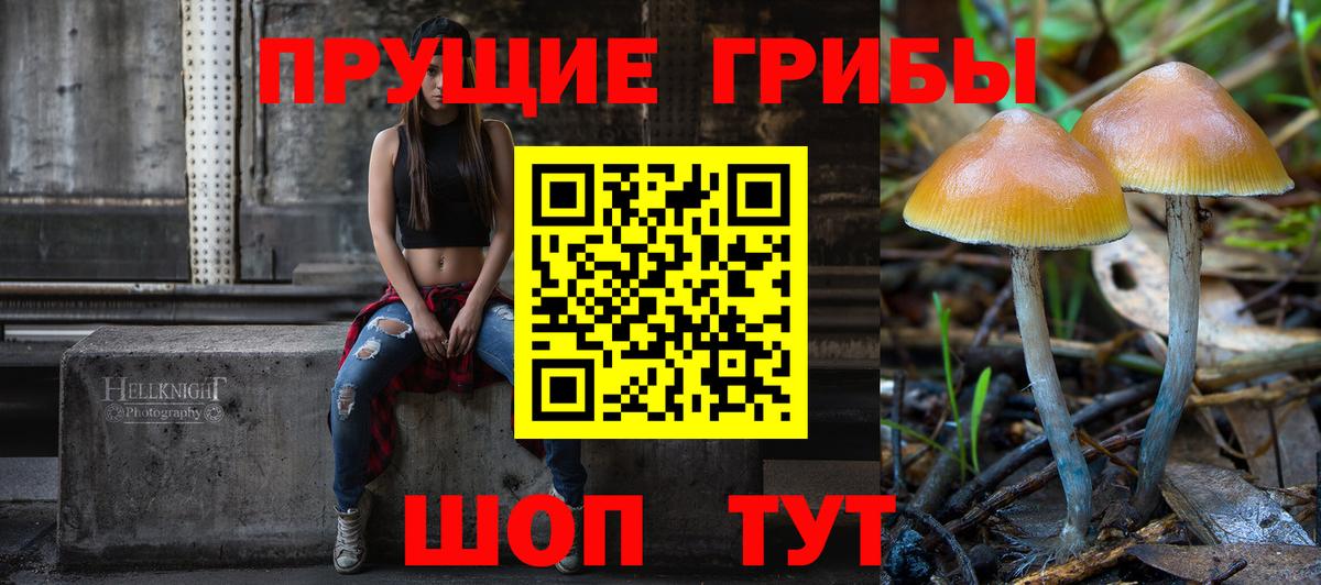 Электрогорск  Галлюциногенные грибы Cubensis  Вход с VPN 