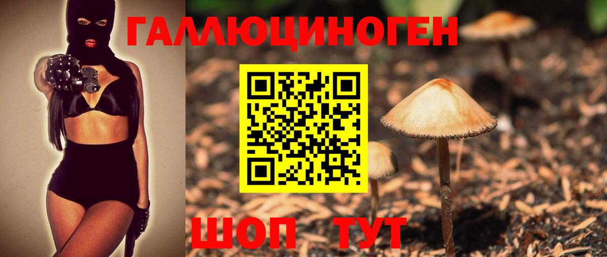Псилоцибиновые грибы прущие грибы Электрогорск